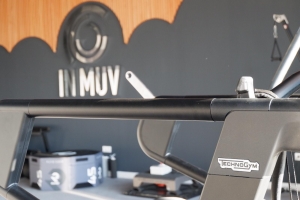 Inmuv